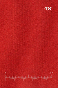 PLYR HOODIE - RED