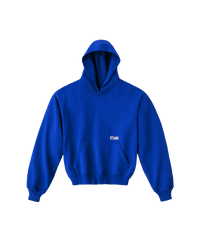 Pro Gram PLYR HOODIE - BLUE in blue